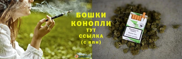 spice Бугульма