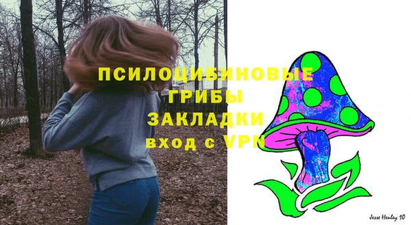 MDMA Premium VHQ Бронницы