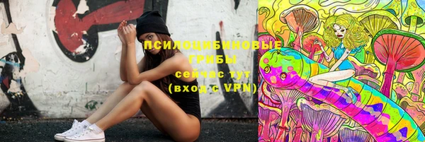 spice Бугульма