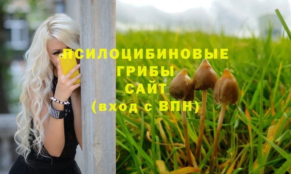 марихуана Бородино