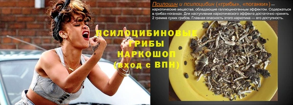 spice Бугульма