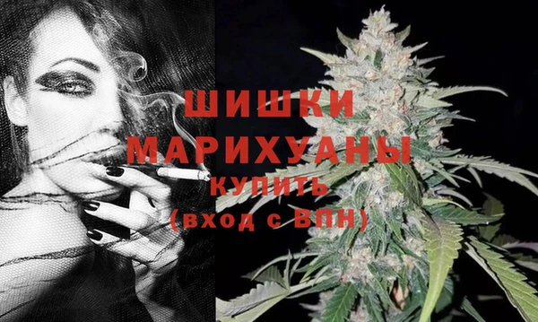 spice Бугульма