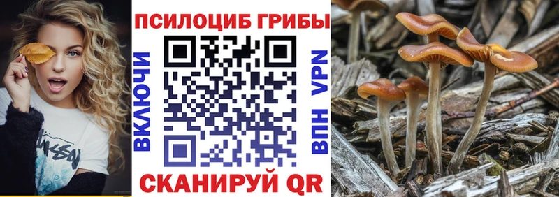 Галлюциногенные грибы Psilocybine cubensis  Новочеркасск 